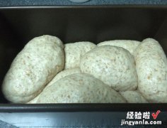 不加奶油 全麦核桃乳酪吐