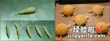 Turtle Pineapple Bun