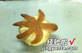 Turtle Pineapple Bun