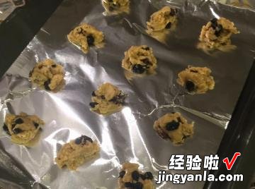 面包机版 西梅蓝莓饼干