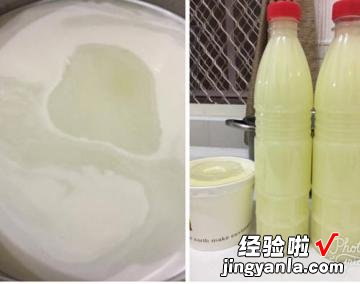 自制cream cheese奶油乳酪