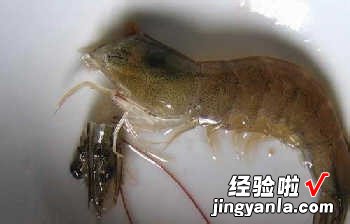 山葵酱明虾球