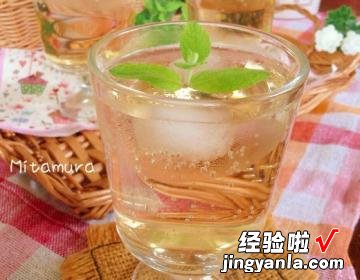 自制酸梅汽水