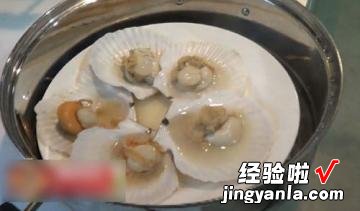 青麻鲜蒸扇贝