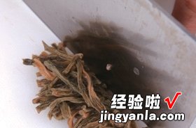 干豆角炒牛筋